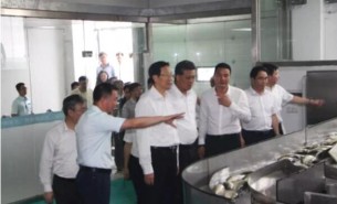 魚分揀機(jī),水產(chǎn)品自動分揀機(jī)廠家,實力品牌珠海大航