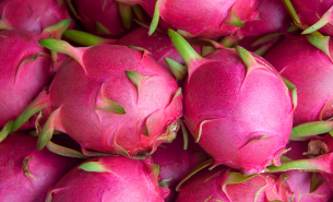 果蔬收獲季節(jié)已經(jīng)來(lái)臨! |果蔬|配重分選機(jī)