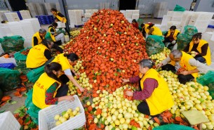 自動化分揀稱重設備：助力生鮮、凍貨及食品加工行業(yè)突破瓶頸