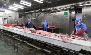 豬蹄重量分選機解決方案-大航智能分選設備省成本30%