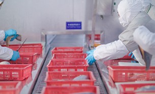 重量分級(jí)不準(zhǔn)的破題之選 - 珠海大航重量分選機(jī)